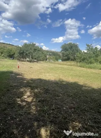 Teren Baciu - poza 6
