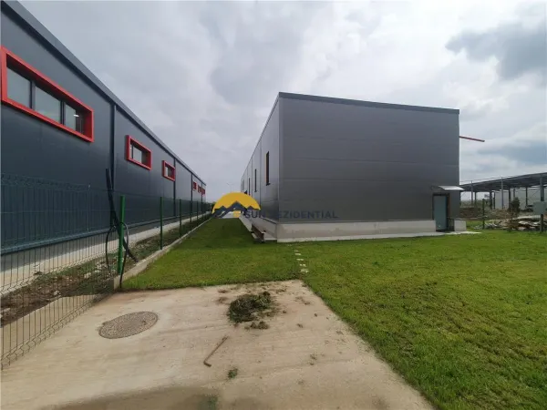 Spațiu comercial Cernica - poza 12