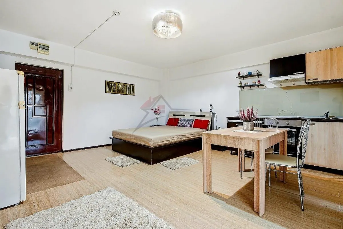 Apartament 1 camera Iași - poza 1