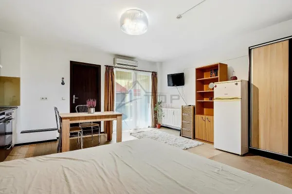 Apartament 1 camera Iași - poza 3