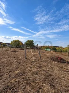 Casă 4 camere Osorhei - poza 8