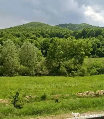 Teren Maierus - poza 4