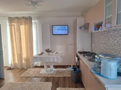 Penthouse cu terasă de 70 mp | 2 camere | Bloc nou | Nicolina – CUG - Iasi