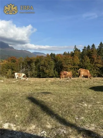 Casă 4 camere Bușteni - poza 21