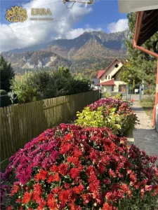 Casă 4 camere Bușteni - poza 3