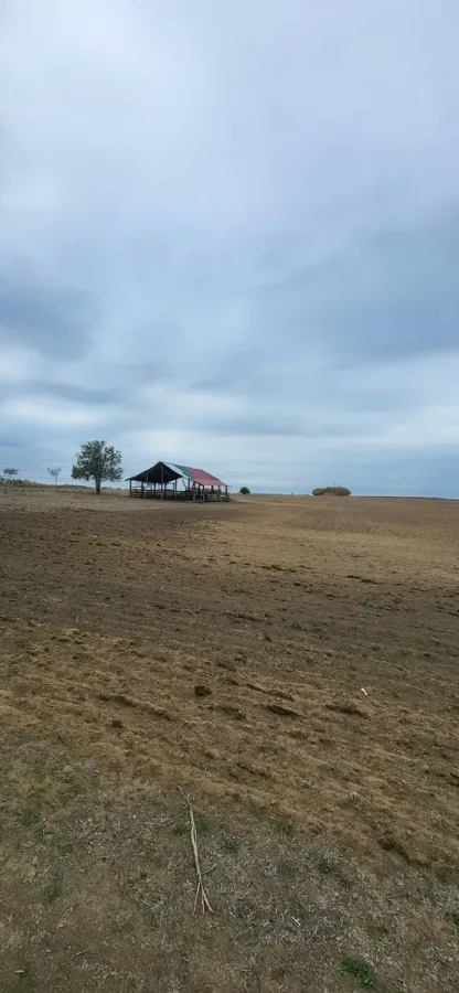 Teren Valea lui Mihai - poza 8