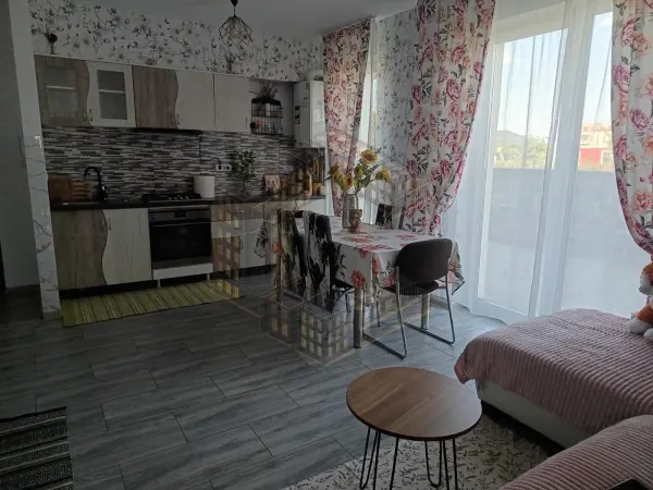 Apartament 2 camere Giroc - poza 5