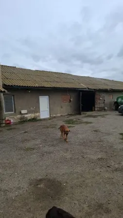 Teren Poiana - poza 6