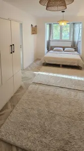 Apartament 2 camere Iași - poza 1