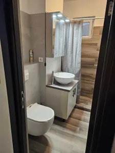 Apartament 2 camere Satu Mare - poza 5
