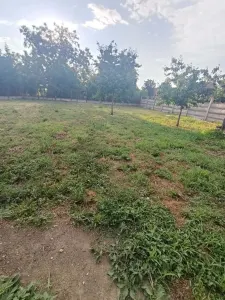 Casă 3 camere Satu Mare - poza 6