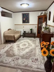 Apartament 2 camere Satu Mare - poza 2