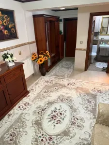 Apartament 2 camere Satu Mare - poza 8