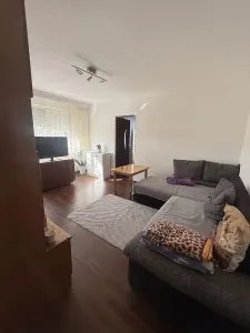 Apartament 2 camere Satu Mare - poza 3