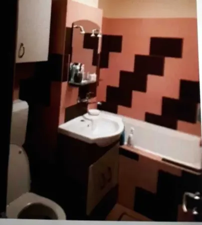 Apartament 2 camere Satu Mare - poza 4