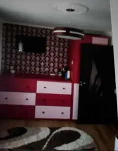 Apartament 2 camere Satu Mare - poza 5