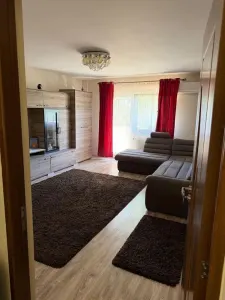 Apartament 2 camere Satu Mare - poza 3
