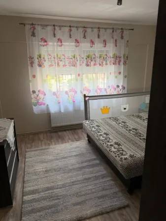 Apartament 2 camere Satu Mare - poza 5