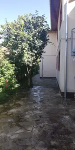 Casă 6 camere Satu Mare - poza 16
