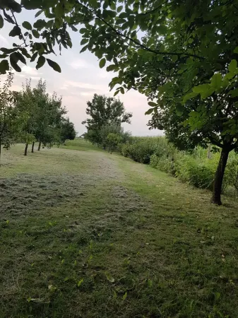 Casă 6 camere Satu Mare - poza 23
