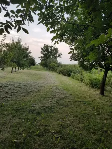 Casă 6 camere Satu Mare - poza 23
