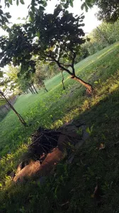 Casă 6 camere Satu Mare - poza 24