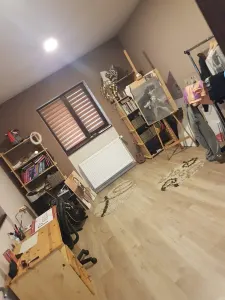 Casă 6 camere Satu Mare - poza 4