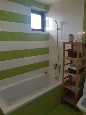 Casă 6 camere Satu Mare - poza 10