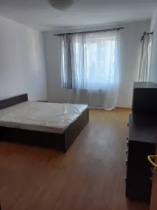 Apartament 2 camere Satu Mare - poza 4