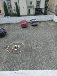 Apartament 2 camere Satu Mare - poza 8