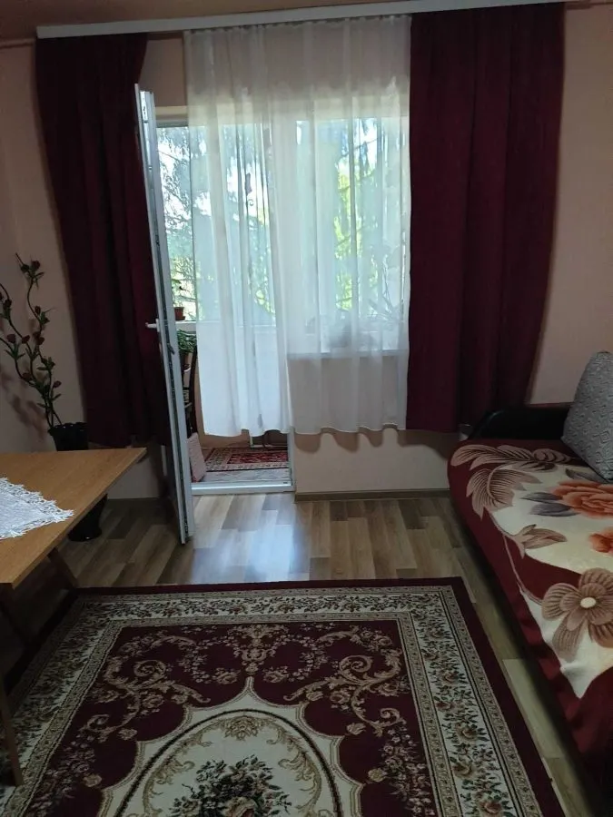 Apartament 2 camere Satu Mare - poza 1