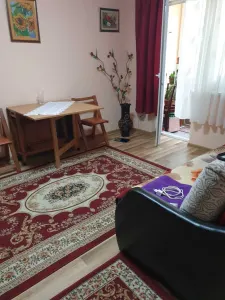 Apartament 2 camere Satu Mare - poza 3