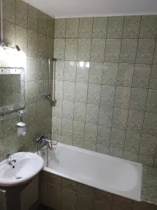 Apartament 3 camere Satu Mare - poza 6