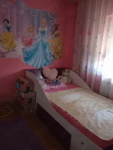 Apartament 2 camere Satu Mare - poza 5