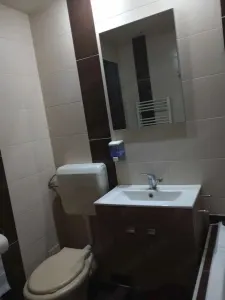 Apartament 2 camere Satu Mare - poza 7