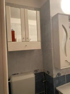 Apartament 2 camere Satu Mare - poza 5