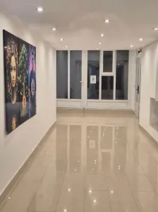 BRASADAS vinde Imobil Central, Ideal pentru Investiție! - Satu Mare