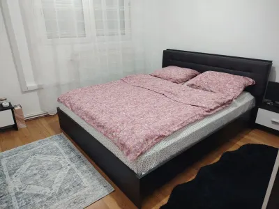 Apartament 2 camere Satu Mare - poza 2