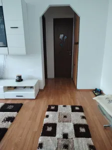 Apartament 2 camere Satu Mare - poza 3