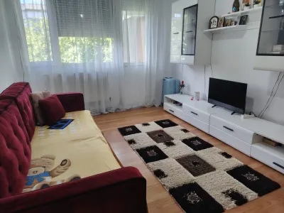 Apartament 2 camere Satu Mare - poza 4