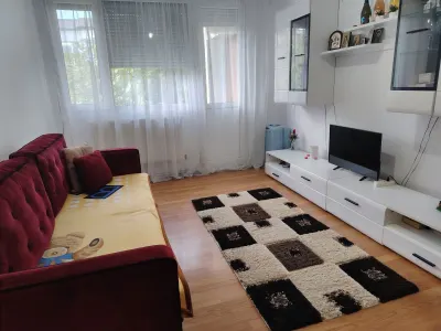 Apartament 2 camere Satu Mare - poza 5
