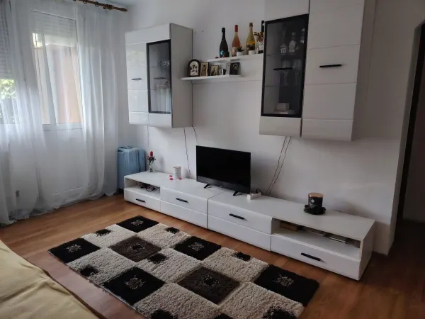 Apartament 2 camere Satu Mare - poza 6