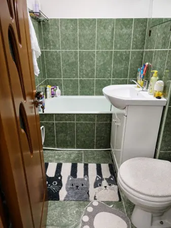 Apartament 2 camere Satu Mare - poza 8