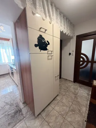 Apartament 2 camere Satu Mare - poza 1