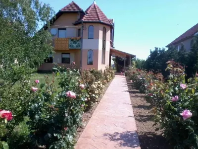 Casă 2 familii / firmă + livadă Satu Mare - Cionchești - Cionchesti