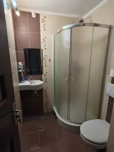 Apartament 4 camere Satu Mare - poza 5
