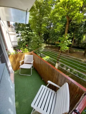 Apartament 2 camere Satu Mare - poza 1