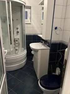 Apartament 4 camere Satu Mare - poza 8
