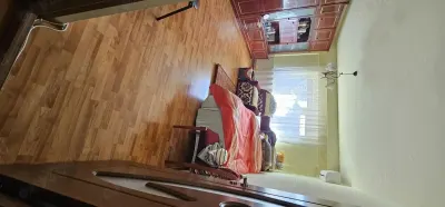 Apartament 2 camere Satu Mare - poza 8