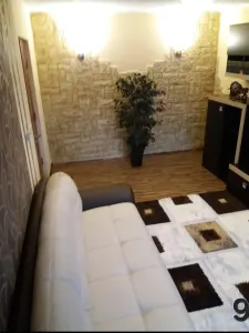 Apartament 3 camere Satu Mare - poza 4